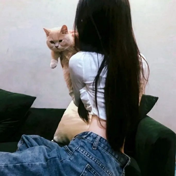我的战争